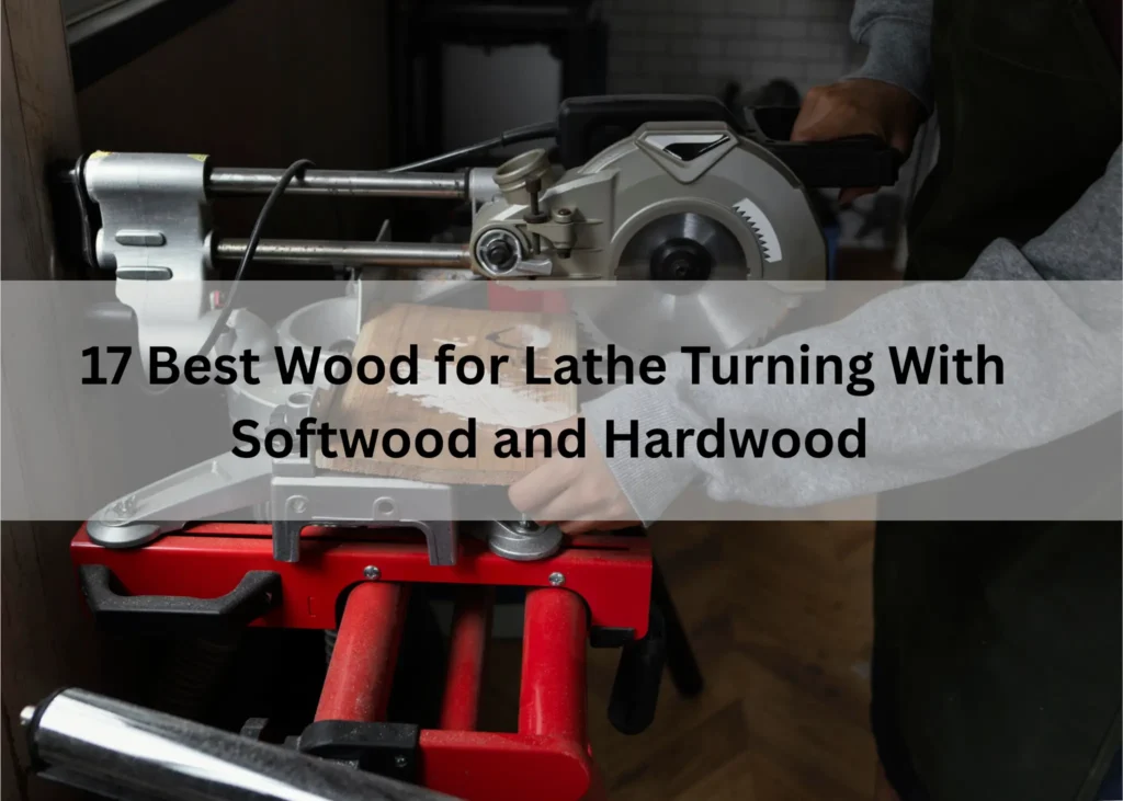 Best Wood for Lathe