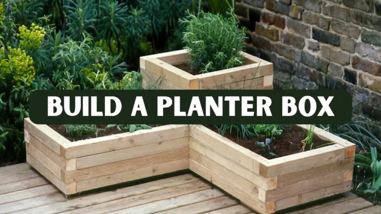 How to Build a Planter Box