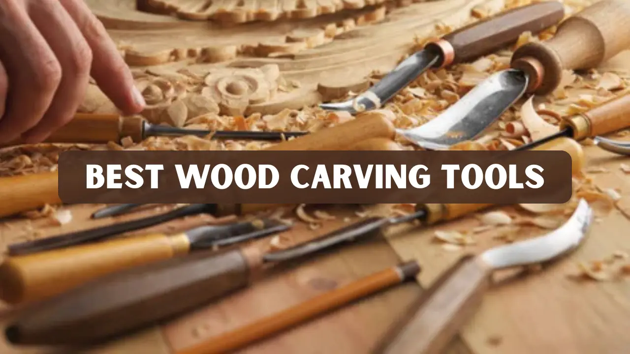 10 Best Wood Carving Tools for Beginners and Hobbyists