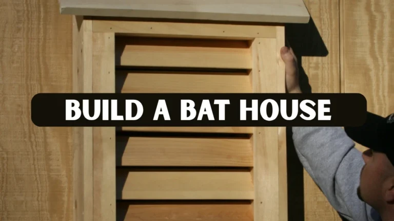 Build a Bat House
