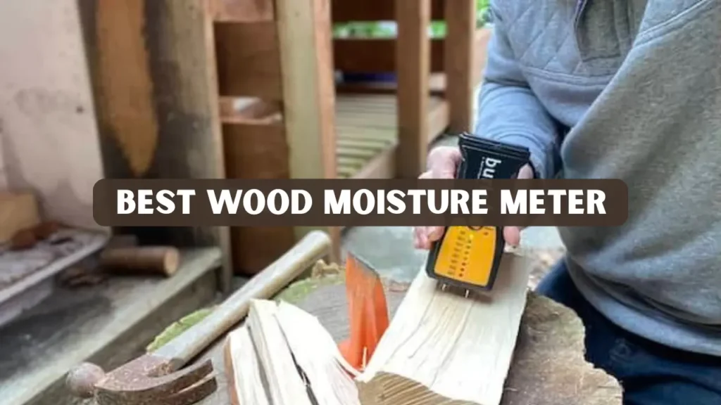Best Wood Moisture Meter