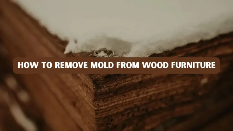 How to Remove Mold from Wood Furniture