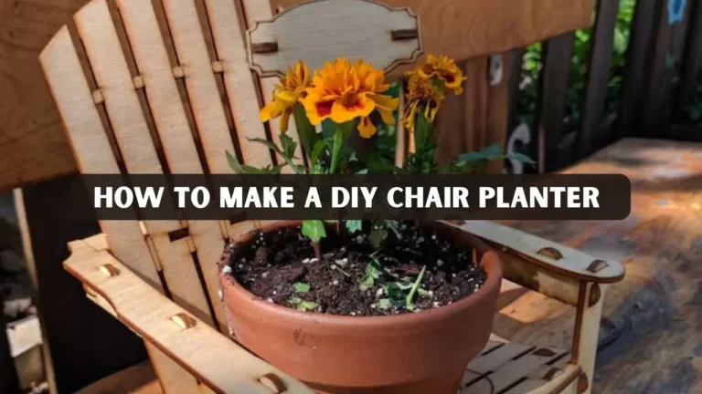 How to Make a DIY Wooden Chair Planter