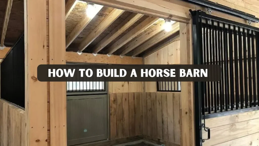 How to Build a Horse Barn